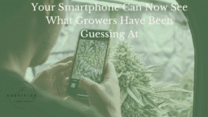 Your Smartphone Can Now See What Growers Have Been Guessing At
