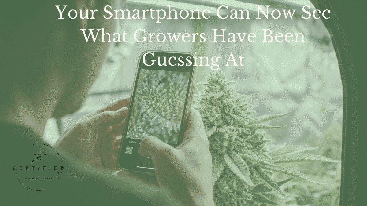 Your Smartphone Can Now See What Growers Have Been Guessing At