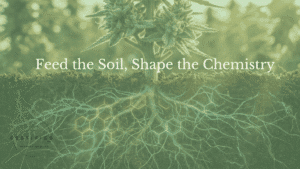 Feed the Soil, Shape the Chemistry