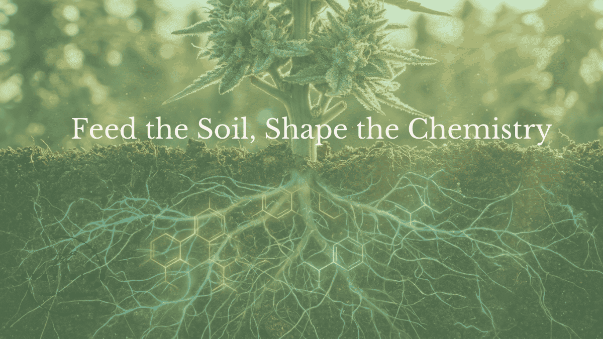Feed the Soil, Shape the Chemistry