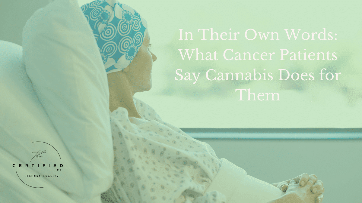 A 2026 study mapped how 65 cancer patients describe their cannabis use. Pain relief was the most-mentioned benefit